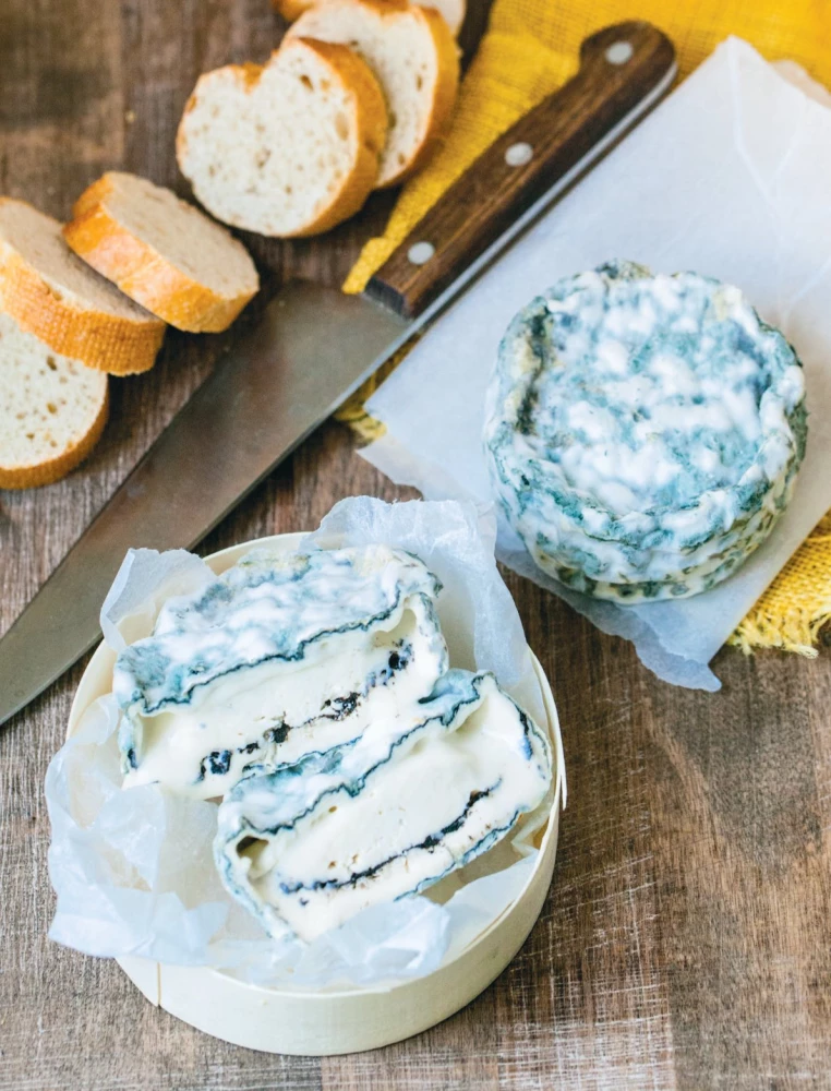 Homemade Cheese